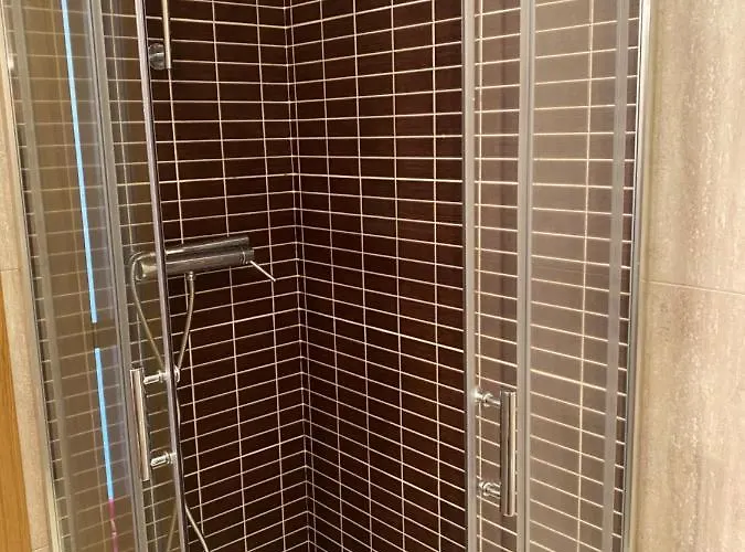 公寓 Green Apartment 拉科鲁尼亚